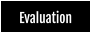 Evaluation