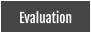 Evaluation